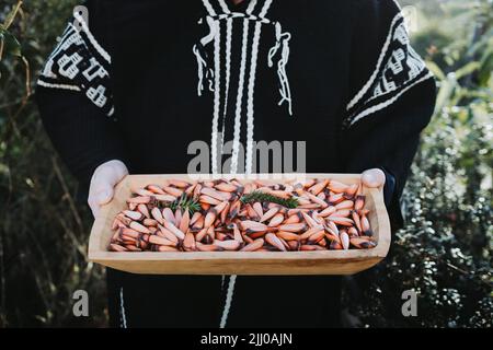 Traditional person using a wool poncho, holding a rustic wooden trough with araucaria pine nuts Stock Photo