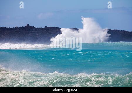 Crashing surf at La Perouse Bay on South Maui. Record breaking waves up to 24 feet hit the south shore of the Hawaiian islands on July. 17, 2022 from Stock Photo