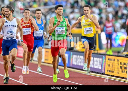 EUGENE, UNITED STATES - JULY 21: Djamel Sedjati of Algeria competing on Men's 800m during the World Athletics Championships on July 21, 2022 in Eugene, United States (Photo by Andy Astfalck/BSR Agency) Atletiekunie Stock Photo