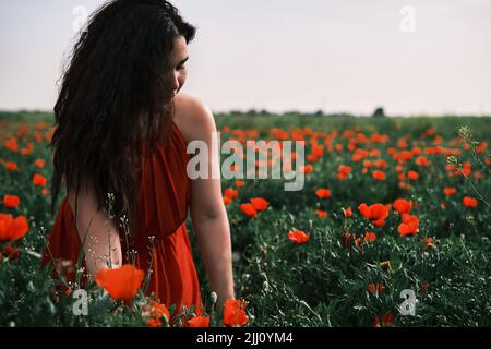 Asian girl in a red dress sits in a poppy field, happy Stock Photo