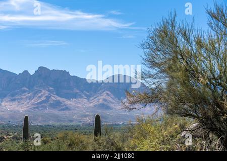 An overlooking view of nature in Tucson, Arizona Stock Photo