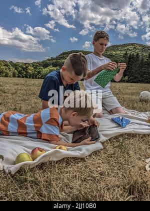 Children make airplanes on a picnic, playing on a tablet Stock Photo
