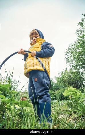 Cute boy takes hose for watering grown plants in garden. Blond toddler dressed in warm jacket stands in lush grass against cloudy sky low angle view Stock Photo