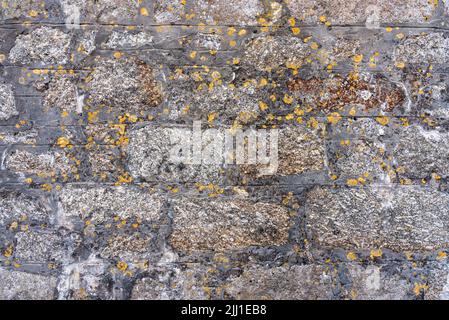 old stone wall with old yellow mold old texture Stock Photo
