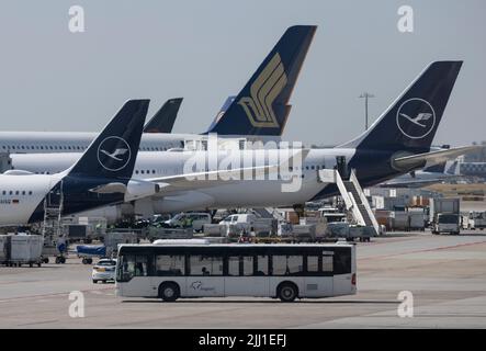 22 July 2022, Hessen, Frankfurt/Main: Passenger aircraft stand on the apron of Frankfurt Airport. In view of the start of the vacations in several German states, airport operator Fraport is expecting a record rush. Around 200,000 passengers per day are expected on each of the weekends from July 22 to 24, 2022. Photo: Boris Roessler/dpa Stock Photo