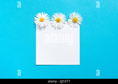Sticky Note With Important Messages With Three Flowers Above. Memo With Crutial Informations With Daisies On Top. Piece Of Paper With Current Stock Photo