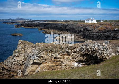 The natural beauty of  the Rhoscolyn headland, Holy Island, Anglesey, Wales Stock Photo