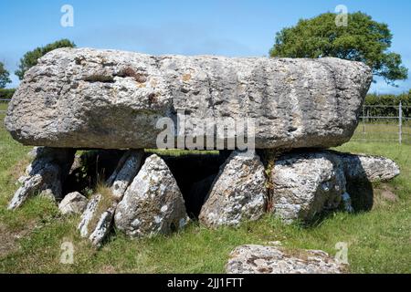 The remarkable 25 ton capstone and supportive uprights of the Neolithic burial chamber at Lligwy, Moelfre, Anglesey, Wales, UK Stock Photo