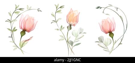 Watercolor bouquets. Set of three floral arrangements. Bright transparent roses in abstract style. Pastel colour flowers with tender eucalyptus Stock Photo