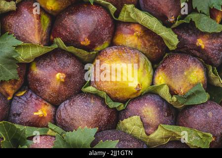 Fresh delicious figs with green leaves in a box in a street food market in summer, ready to eat Stock Photo
