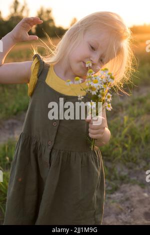 A little blonde girl is sitting walking on a chamomile field and collecting a bouquet of flowers. The concept of walking in nature, freedom and a clea Stock Photo