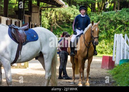 Young woman prepares with a group to go trekking on horses in a stable near Bruckless, County Donegal, Ireland Stock Photo