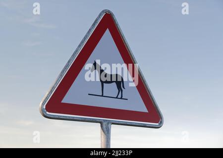 attention horses sign warns of unattended animals on the roadway specifically for horses, in the daytime against a blue cloudless sky Stock Photo
