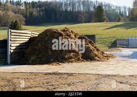 large golden brown pile of manure in late summer on a farm, fertilizers are very important for the growth of vegetables wheat and plants, without peop Stock Photo