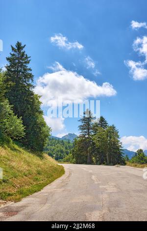 Curvy open road or street through green tall trees with a cloudy blue sky. Landscape view of a path in a scenic and peaceful location surrounded by Stock Photo