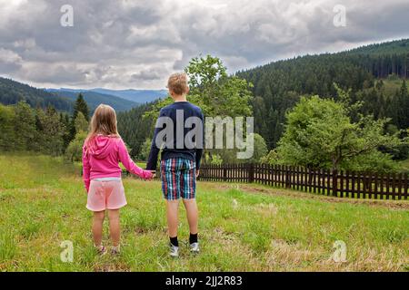 Brother and sister, siblings, young children boy and girl holding hands and looking in front of them in a highland mountain. On a meadow, in nature. Stock Photo