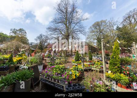 Lytham Hall Café & Tearoom, Lytham Hall, 18th-century Georgian Country ...