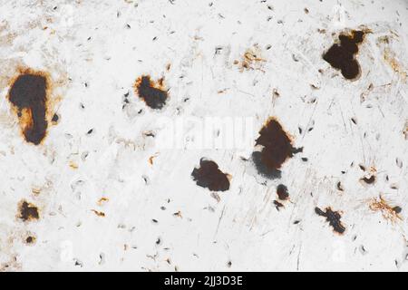 Stains pieces pattern rusty old metal on white surface steel texture rust background. Stock Photo