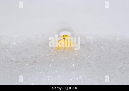 Bauru, Brazil. 7, June, 2022: Lego minifigure of isolated happy man wearing shower cap surrounded by soap suds. Bath time and personal hygiene. Select Stock Photo
