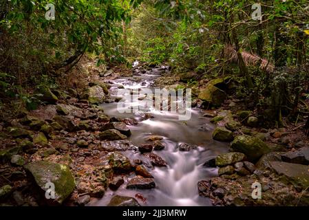 Natural creek, waterfall views in Queensland, Australia during autumn season. Taken in Springbrook National Park. Stock Photo