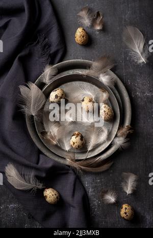 Photography of quail eggs and feathers Stock Photo