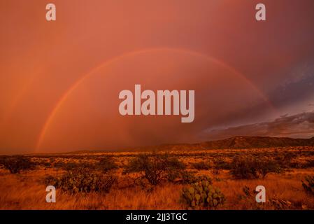 Double rainbow over the desert Stock Photo