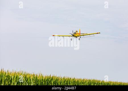 Crop duster airplane spraying chemicals on cornfield. Fungicide, pesticide and crop spraying concept. Stock Photo