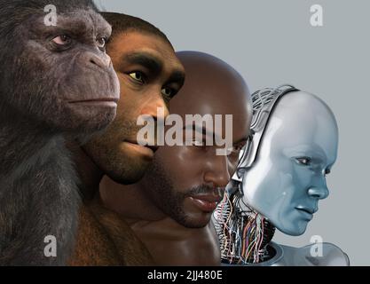 Human evolution, conceptual illustration Stock Photo - Alamy