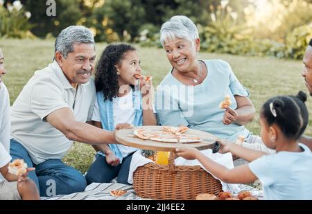I have a wonderful shelter, which is my family. a family enjoying a picnic in a park. Stock Photo