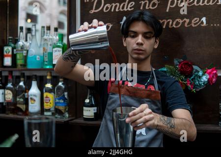 Barman pouring fresh cocktail from shaker into the glass on the bar counter  Stock Photo by ©ufabizphoto 391804472