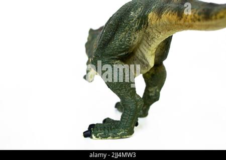Tyrannosaurus dinosaurs toy isolated on white background with clipping path. High quality photo Stock Photo