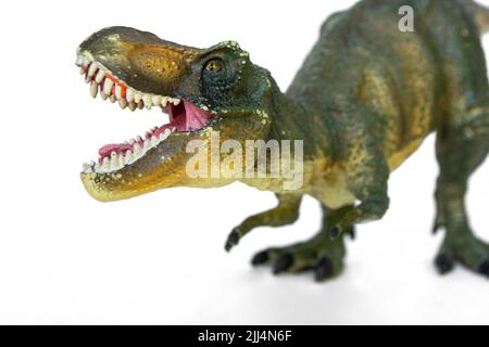 Tyrannosaurus dinosaurs toy isolated on white background with clipping path. High quality photo Stock Photo