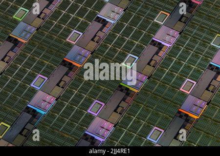 Silicon wafer with microchips used in electronics for the fabrication of integrated circuits. Full-frame high-tech macro background. Stock Photo