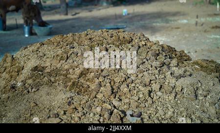 Pile of cow dung or cake on an agricultural field for growing bio products Stock Photo