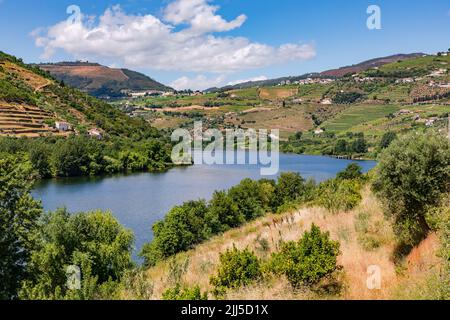 View of the vines and hillsides on the scenic Alto Douro in the hinterland of Porto, Portugal Stock Photo