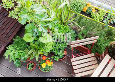 Vegetable and flower plants on balcony Stock Photo