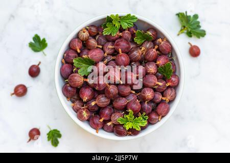 Studio shot of bowl of freshly picked gooseberries standing on marble surface Stock Photo