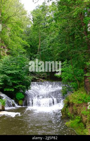 Germany, Saxony, Waterfall on Wesenitz river flowing through Liebethaler Grund valley in spring Stock Photo