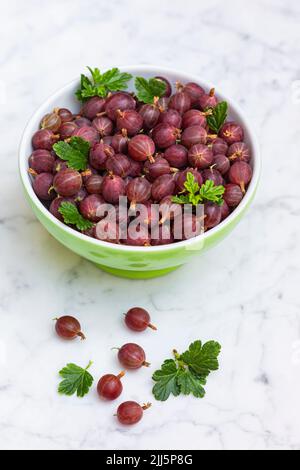 Studio shot of bowl of freshly picked gooseberries standing on marble surface Stock Photo