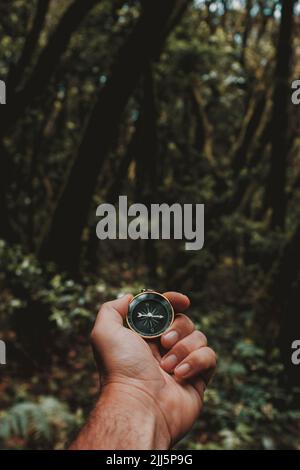 Hand of mature man holding navigational compass in forest Stock Photo