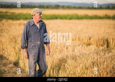 Happy senior farmer walking in field Stock Photo