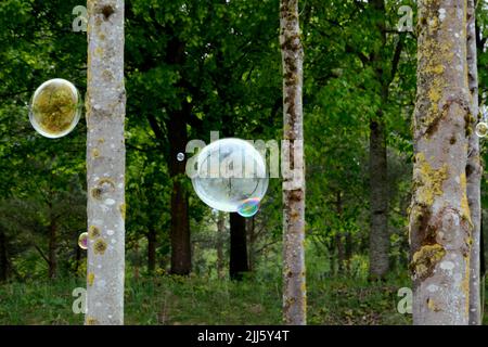 Soap suds floating in front of forest trees Stock Photo