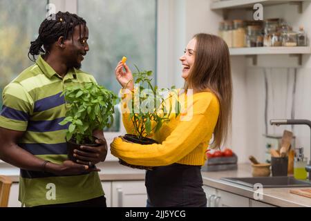 Happy couple holding potted herbs standing in kitchen Stock Photo