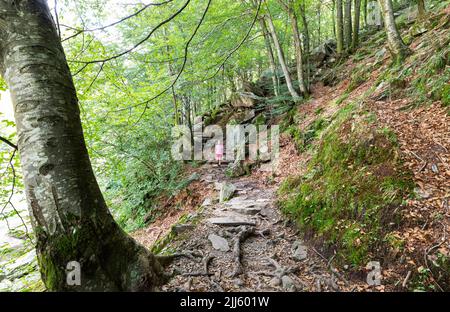Switzerland, Ticino, Woman standing in middle of forest trail in Valle Verzasca Stock Photo