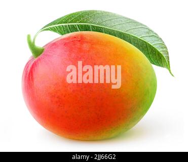 One red green mango with leaf isolated of white background Stock Photo