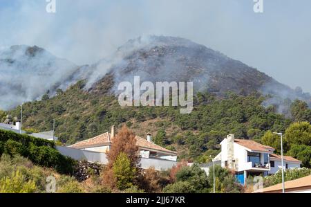 Fire dangerously approaching homes in Pinos de Alhaurín. Forest fire in the Sierra de Mijas in Malaga, Spain. Stock Photo