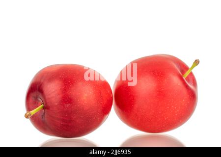 Two organic juicy cherry plums, close-up, isolated on a white background. Stock Photo