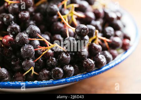Bowl with fresh aronia berries