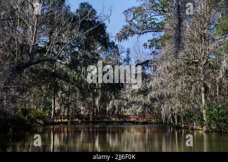 Magnolia Plantation Gardens and red walking bridge, Charleston, South Carolina, USA US Stock Photo