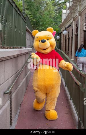 Winnie the pooh character at DIsney Magic Kingdom Stock Photo - Alamy